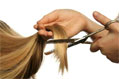La coiffure coiffure